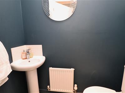 Picture 14